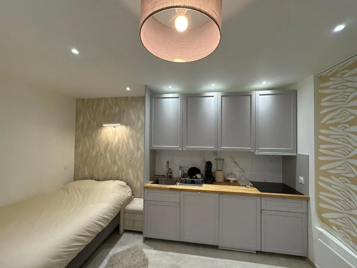 Luxury Studio Paris France